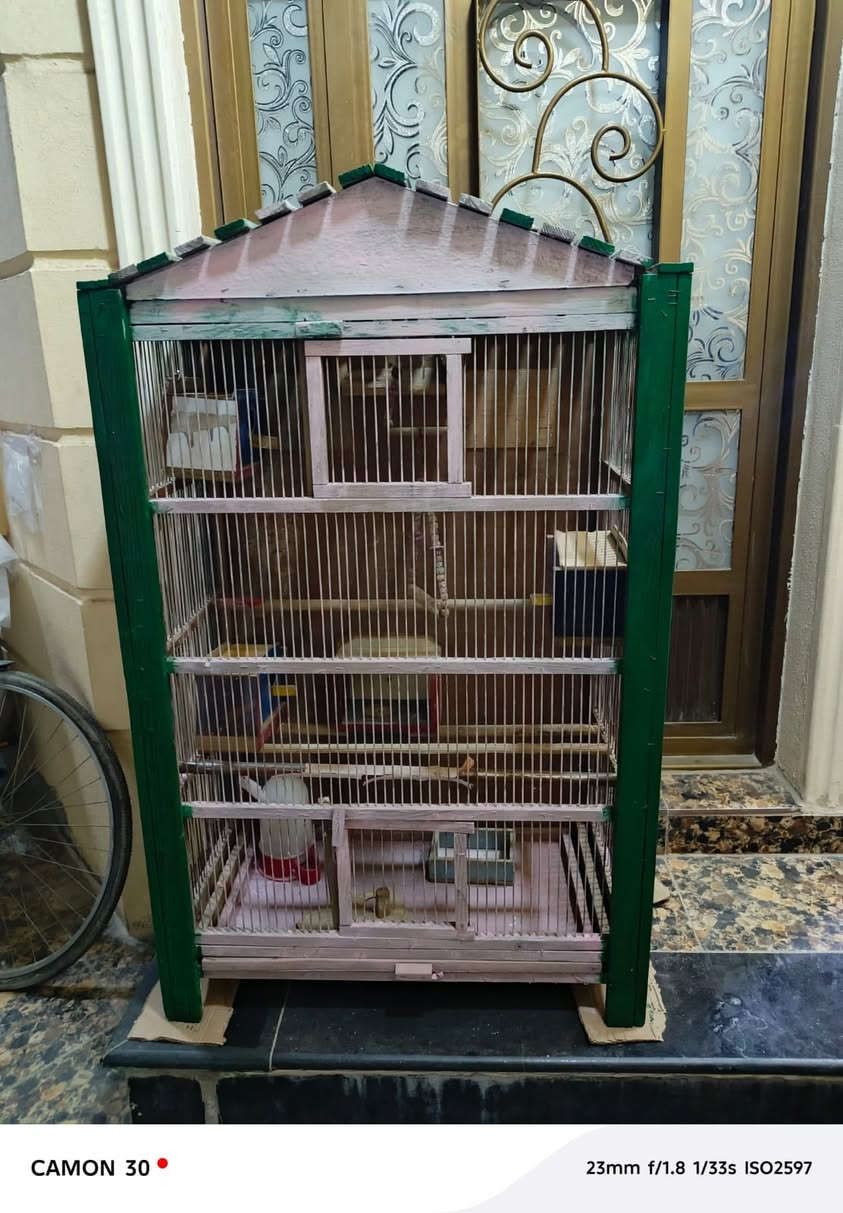 سلام عليكم قفص للبيع السعر 60 وبي مجال العنوان الدورة الارتفاع 120 العرض 82


**إذا كنت صاحب هذا الإعلان وتريد حذفه لأي سبب، رجاءا أرسل رسالة إلى الدعم الفني**
