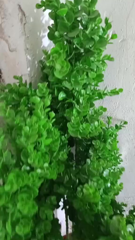 14 خصله اكو بها 100 طولها واكو 90 واكو 80 14 خصله ويا السندانه 25,000 عنوان بغداد بارك السعدون... ////***********
