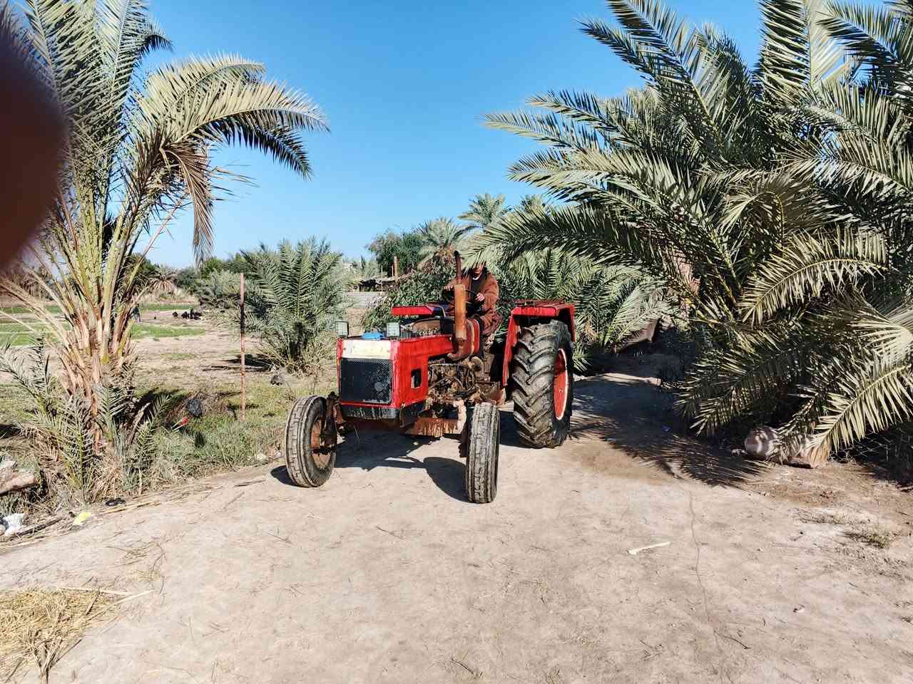 عنتر للبيع رقم بابل
السعر 3 ونص مع المجال جاهزه للكراب
***********
