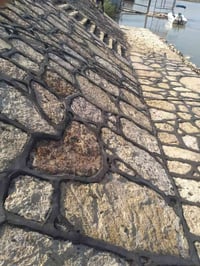 ٠٧٨٧٤٩٠٤٢٠٩*07810006346