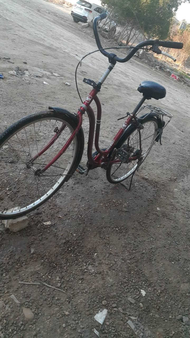 سلام عليكم اخوان هذه الباسكل للبيع موصفات فول حجم 26قبل شهر اشتريته ومضرر ابيعه موديل 2021ويا حماله وبريك كدامي عوزه ترتيب قليل كامل مكمل العنوان بابل حمزه الغربي للإستفسار ***********سعر 70وبي مجال لطيبين بعد شتردون وشكرأ
