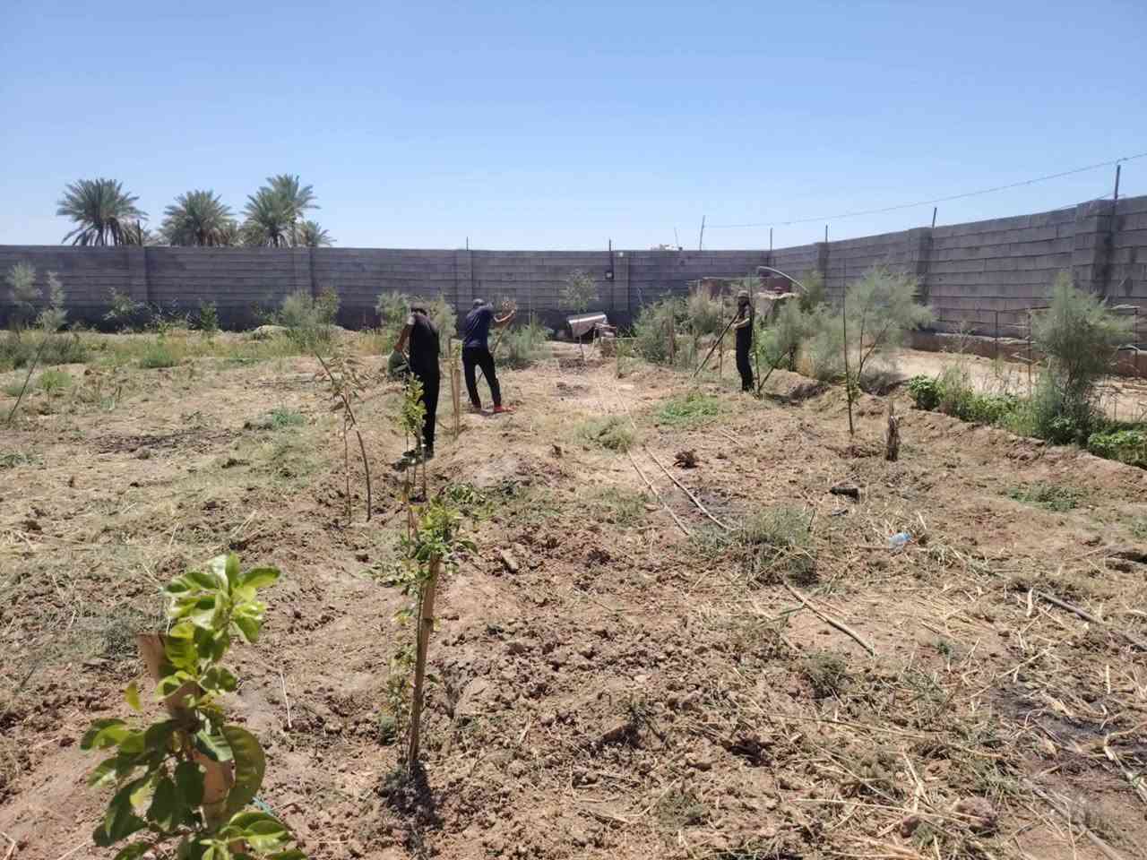 ***********📞سلام عليكم  /  يوجد كادر عمل جاهز /  تصعيد مواد /  تنضيف بيوت /  تفليش /  تكشيط /  دفن نهري /  شقلنه ليل ونهار /  ومعداتنه جاهزه  ومالك دخل بكلشي تأخذ شقل جاهز مني سلمني شقل وتأخذ شقل جاهز / ماعليك بس تصال على رقم ///  وسياره تجيك للبيت // وموجود واتساب
