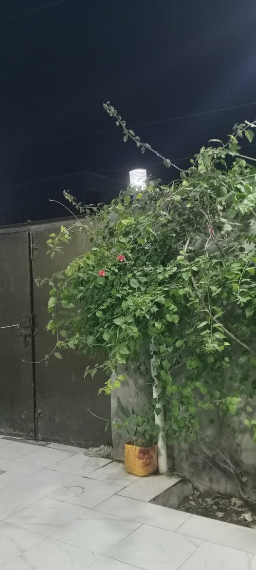 دار للبيع المساحة 180متر غرفتين وصاله واستقبال مطبخ حار وبارد صحيات داخليه وخارجيه العنوان اطويريج الحولي خلف حلويات ابو سلام زراعي سند 25 بستان اقلوم السعر95 للاستفسار اتصل ***********
