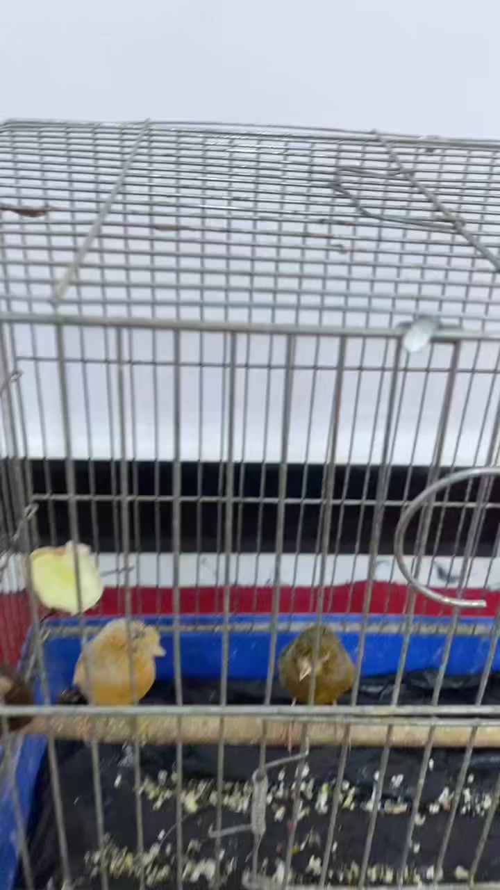 للاستفسار الاتصال على الرقم
***********
