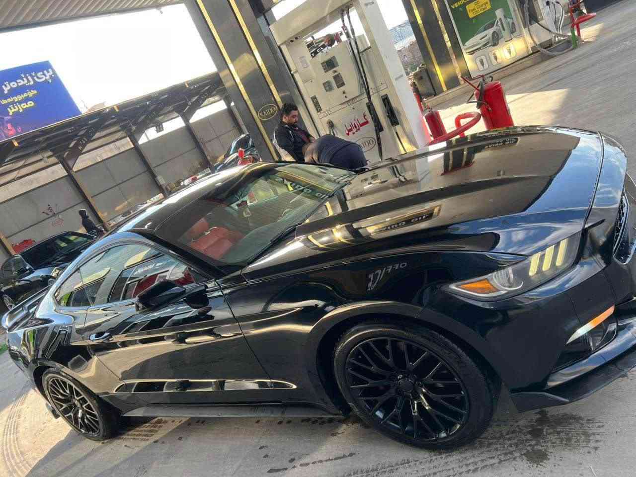 موستنگ ٢٠١٧ V6
قطعتين صبخ بدون شاصي 

***********

١٤٠ ماشی
سعر ١٥٥ مجال
مكان دهوك
*********** عميدي, دهوك
