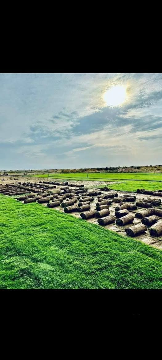 باسعار ثيل ديالى الطبيعي 🏡
أهلاً بكم في مجموعه مزارع ديالى لثيل الهندي الطبيعي 🌿🌱
 نقدم لكم افضل انوع الثيل الطبيعي عالي الجوده يتحمل كافه الضروف البيئية.🌦️🌞
دائم الخضرة🌿🌳 وباسعار تنافسيه وعروض مميزة ☘️❤️
#مستعدون لتجهيز وفرش الحدائق🏡 ودوائر الدولة🏡والمنازل🏡🏡
و تجهيز الملاعب🏟️ والمنتزهات بانسب الاسعار مع ضمان الجودة العالية في العمل👷👷

مع خدمة التوصيل خلال24ساعه🚛🚛
الاسعار 💵💸 تختلف حسب الكمية 
للاستفسار الاتصال على : 
او التواصل مع الصفحه عن طريق ارسال رسالة على الوتساب او الاتصال📞‏‪***********
