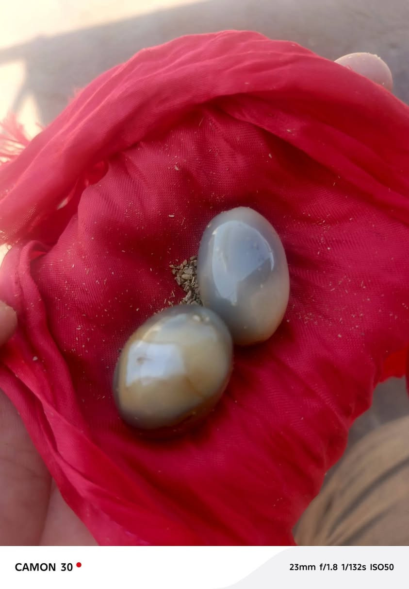 السلام عليكم للبيع ***********
