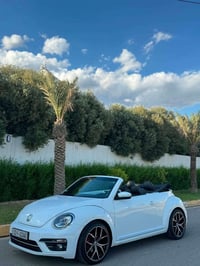 بيتل • ٢٠١٩ • أربيل
