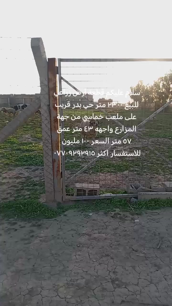 سلام عليكم قطعة أرض زراعي للبيع ٢٣٠٠ متر حي بدر قريب على ملعب خماسي من جهة المزارع واجهه ٤٣متر وعمق ٥٧ متر مسيجه السعر ١٠٠ مليون للاستفسار اكثر ***********
