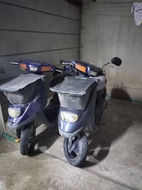 للبيع شغالين معمرين 07518714591