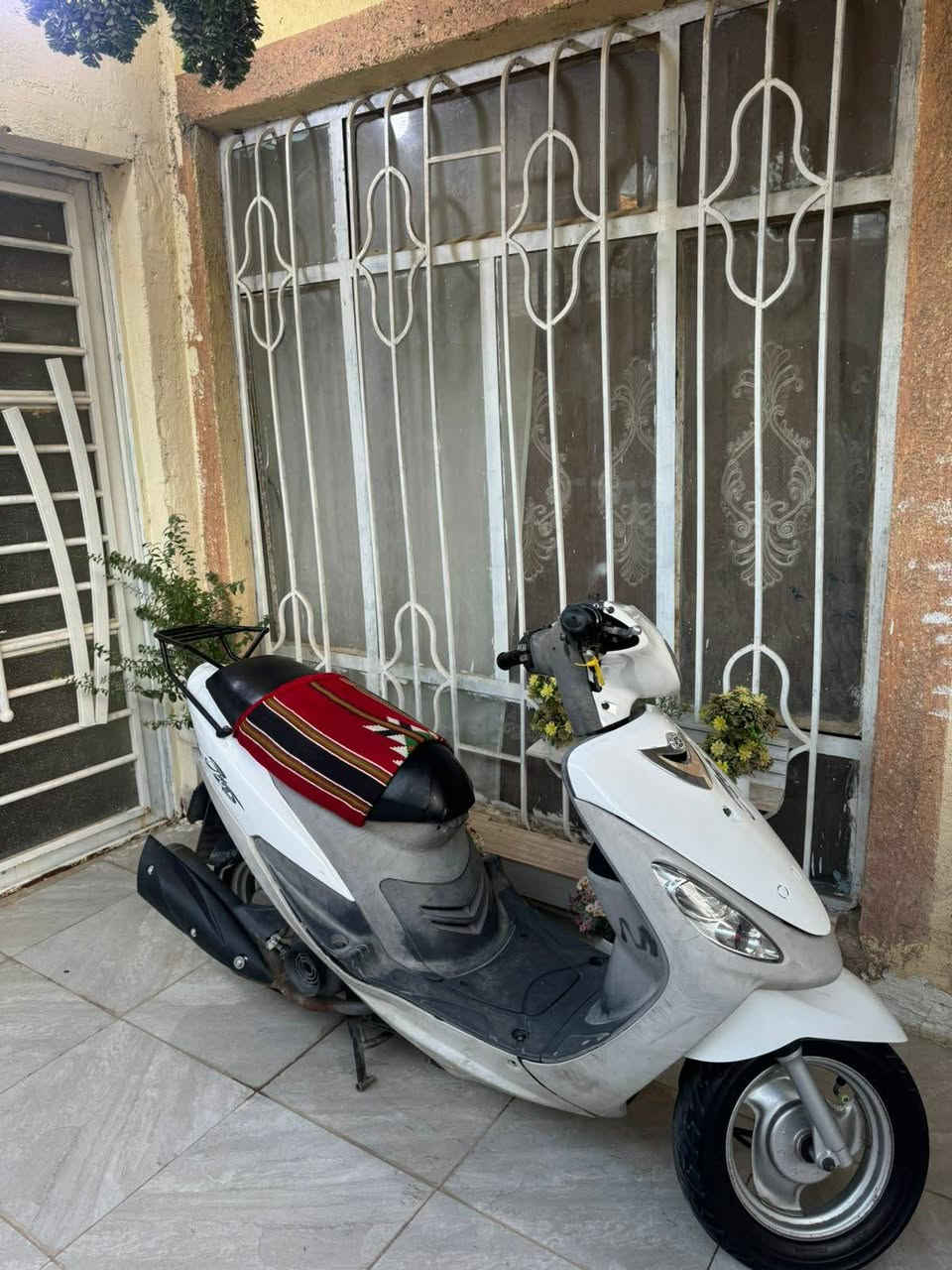 دراجه ماكس منغولي ما مفتوحه بلاد وصل معرض موجود السعر 700 و بيها مجال 
مكاني كربلا ***********
