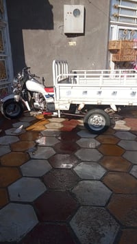 ستوته • شاصي مكفول • أوراق جديدة