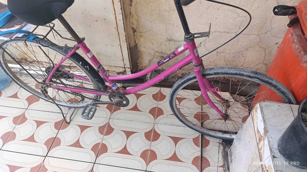 السلام عليكم باسكل البيع ما مصبوغ مديل 13 ما مغسول  جمالغات وياه ماعوزه اي شي ويلات مابي عوج سعر 65بي مجال شراي بي خير ويدلل مكاني شطره حولي رقمي ***********واتساب
