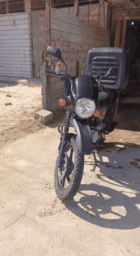 #للبيع
بوكسر فحل جبلي
موديل 2021 بالاوراق،طالعة ب2022
المكينة مكفولة من التفيلس 
ما متعوبة ولا ماشية هواي ومداريها دهن كله موتل او ليكي مولي
اوراق مو سنوية
ملاحظة:ما مشتغلة دلفري 3 اشهر تقريبا وبطلت الباقي استخدام يومي فقط

الشراي يتصل وبالخدمة
***********
