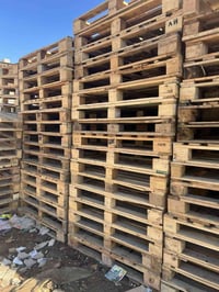 بغداد  07727369449