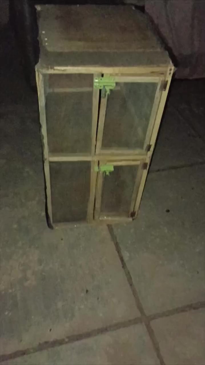 متاح خانات 2 مع قفص السعر 30 الف مكاني كوت واسط دور العمال


**إذا كنت صاحب هذا الإعلان وتريد حذفه لأي سبب، رجاءا أرسل رسالة إلى الدعم الفني**