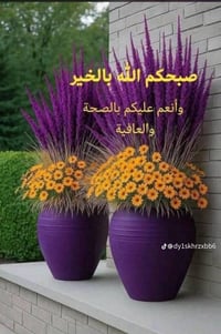 حي العامل • أرض ٧٥م • ركن واجهه ١١م