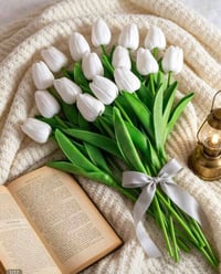 مستلزمات منزلية • ديكورات منزلية • اغراض منزل • متوفر للحجز • مفروشات ...