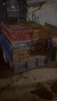 كيلو دجاج • تنظيف تام • السنيه حي الحسين