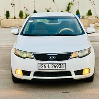 نقد فقط • وارد خليجي • ٢٠١٣