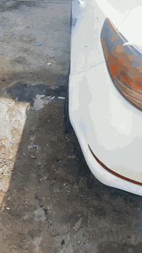 اوبتيما • ٢٠١١ • نجف ابوصخير