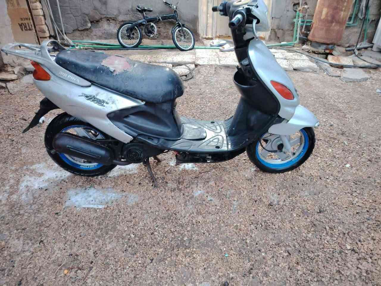 دراجه دولفين للبيع للبيع السعر 250 دراجه جاهزه مكاني سماوه تقاطع الوركاء  ***********8ني مكلف بل نشر خاص مسدود نتصلو عله هاذه رقم
