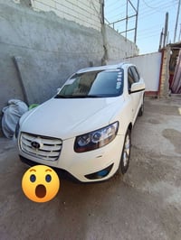 سنتافيا • ٢٠١٢ • كارتون