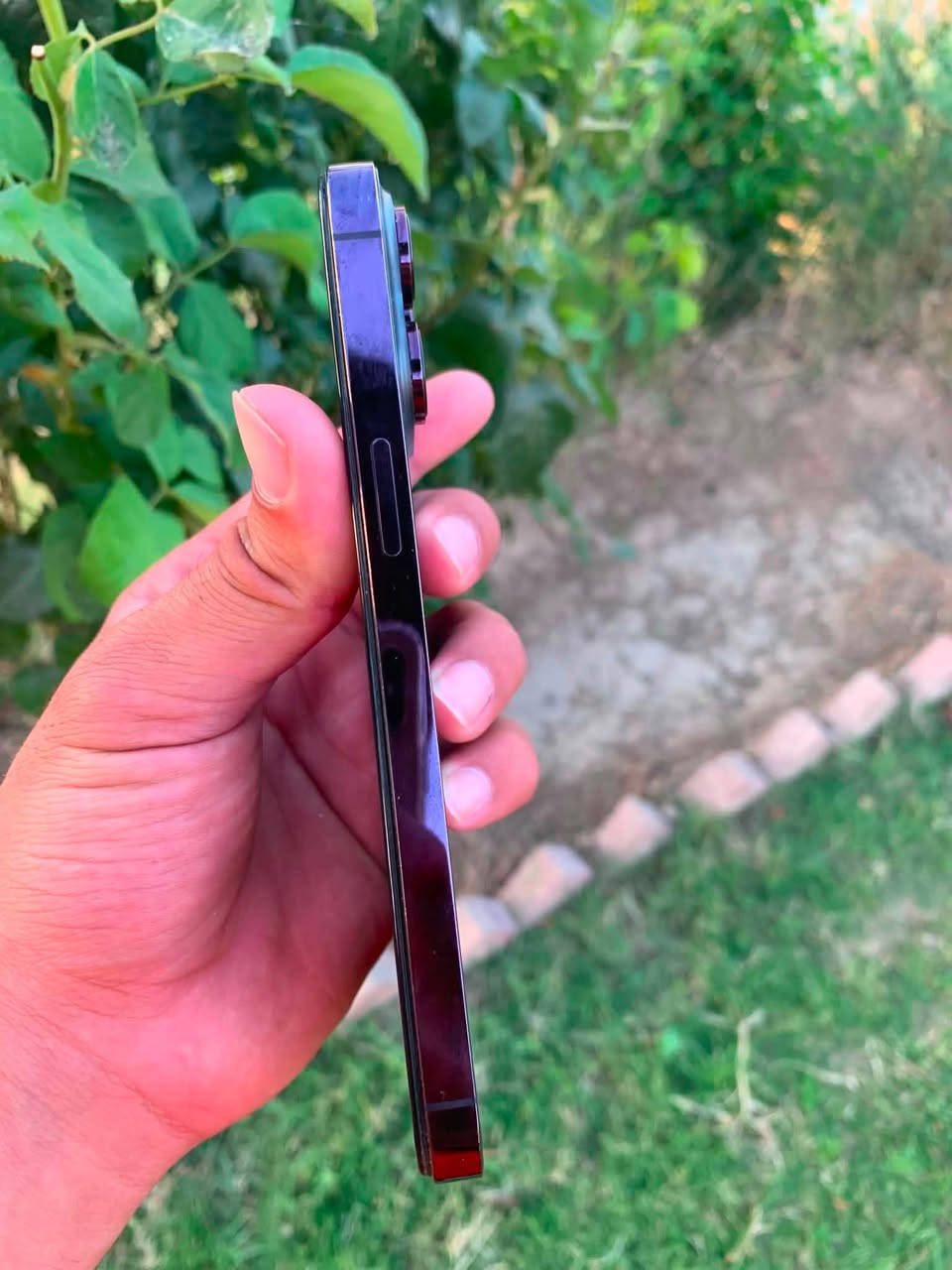 ايفون 14 برو ماكس
ذاكرة 256
بطارية 85
مبدل شاشه اصليه شرط 
شرط فول نظافه
مراوس أب 13برو ماكس او للبيع 600 او بي مجال
***********
