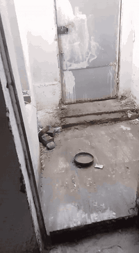 بيت اليجار في الشعب حي الجزائر يم العيادة الشعبة مال الجزائر بيت 62متر بي طرمة صغيرة واستقبال وغرفة نوم وترك وحمام في الترك يجارة 250 وبي مجال قليل لستفسار اتصال علة *********** واتساب بي
