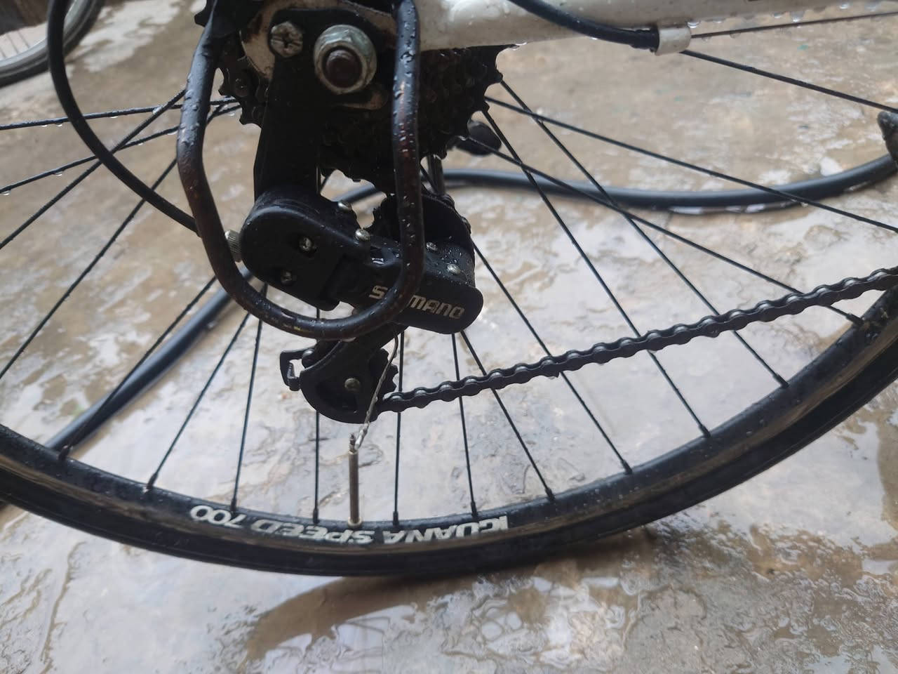 السلام عليكم اخواني عندي هذا الرود بلادي رايده 100 بي مجال رقمي***********
