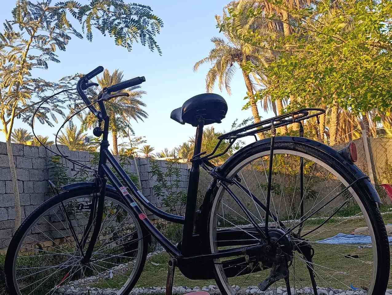 بايسكل حجم 26 جديد مال حاويه الله شاهد اشتريته قبل أيام وهسه اريد ابيعه اشتريته با95 بس هسه مستعجل عل بيعته بي مجال للشراي مكاني دبله وهذا رقمي ***********
