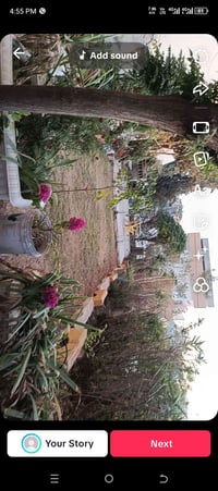 السليمانية كومباني نوزاد • ١٧٦م • بيت ركني طابقين