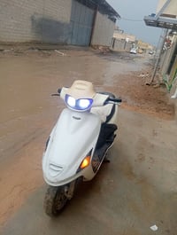 فراشه فحل للبيع نكره سلف سعره 260الف 07840530863