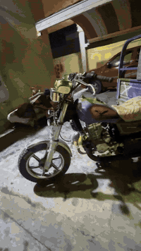 للبيع كربلاءيه أدوات كله جديد مكينه 2025 توه شاده ضفيره من الطول لطول شغاله توه شاده شاصي كفاله بدي شيلمانه قوي كلش تخم تاير عداد شغال لايت عالي ناصي ستوته حلوه وجاهزه مكاني الزبير حي القاءد سعره مليون وبيه مجال قليل هاذ رقمي ***********
