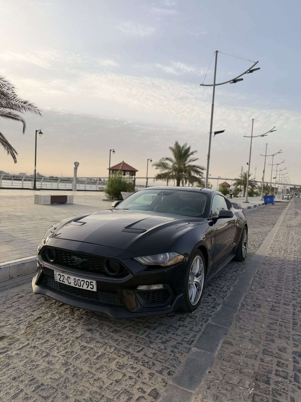 السلام عليكم 
موستنك (mac1) مديل 2021 وارد أمريكي رقم أربيل 
‏8V
تحويل او وكاله 
سياره حلوه وبعدهه جديده 
لون اسود وفئه مميزه جدا 
مكانهه :البصره الجمعيات 
السعر :240
شراي تجي شوف السياره وتشلع عيوني 
‏***********
