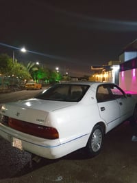 بطة • مكفولة مكينه وكير • نجف