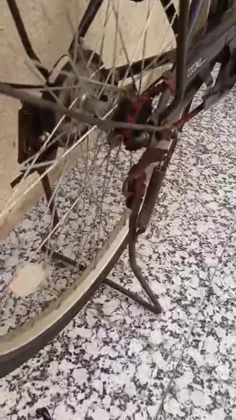 بيسكل حجم 26 للبيع توني مطلعه من الحاويه مستعجل على بيعته السعر 140 وبي مجال قليل


**إذا كنت صاحب هذا الإعلان وتريد حذفه لأي سبب، رجاءا أرسل رسالة إلى الدعم الفني**
