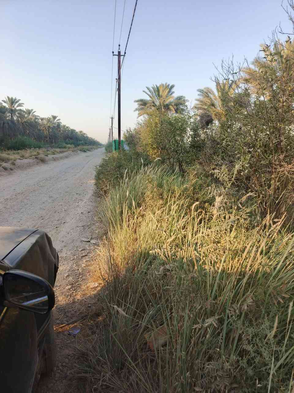سلام عليكم للبيع 720 سند 25 تحويل مباشر بسم المشتري بغداد الراشدية قرية العراكنة تبعد عن ناحية ربع ساعة وعن شارع العام طريق بغداد كركوك 2 كيلو واجه 17 نزال 44 بيه 13 نخله مزروعه كامله مباشر ع شارع ريسي تبعد عن تبليط 100 متر ترهم مزرعة او سكن كهرباء ماء سقي ماء اساله سحب جدا قريبه ع سكن  ***********
