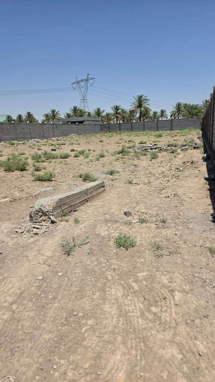 يوجد لدي دوانم البيع في بغداد ابو غريب منطقة ١٠ مناصير طابور زراعي سند ٢٥ التصال أو وتساب ***********
