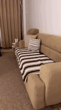 تخم للبيع مستعمل شهرين فقط للإستفسار أرجو مراسله الخاص لطفا


**إذا كنت صاحب هذا الإعلان وتريد حذفه لأي سبب، رجاءا أرسل رسالة إلى الدعم الفني**