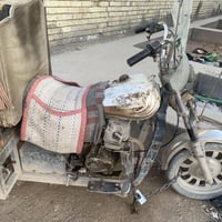 ستوته • اسود • نجف