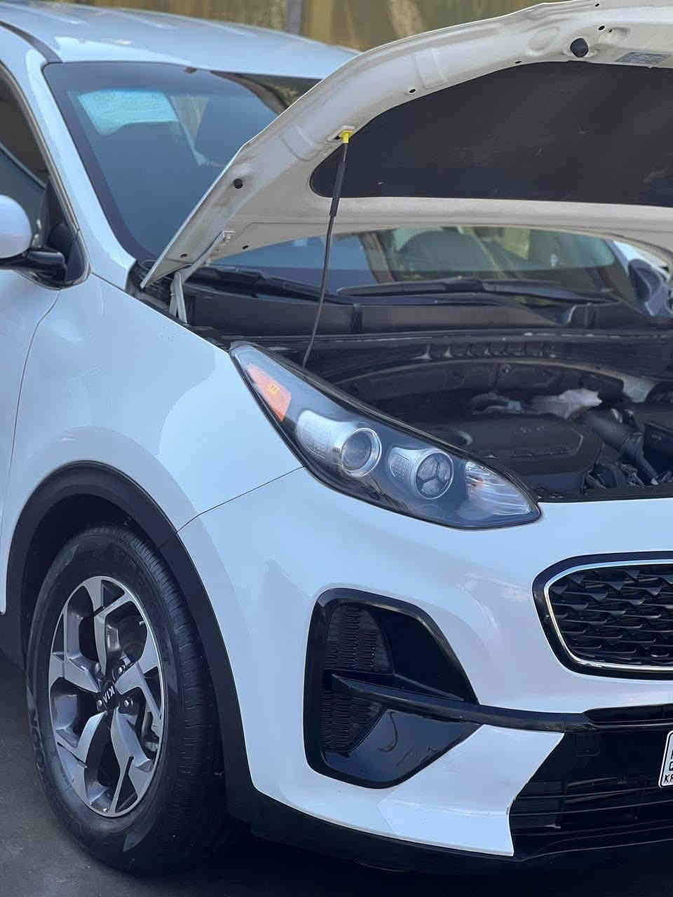 كيا سبورتج 2021 وارد امريكي بلاك اديشين ماشيه 43 رقم أربيل انكليزي الجديد بسمي  حادثها موجود بل نشر فقط مكفوله كفاله عامه حتى الدعاميات
 مواصفات..  
١-كشنات مخمل ٢-تحديد مسار ٣- اشاير بالمرء ٤-شاشه كبيره ٥- كامره خلفيه دواره ٦- قطعتين تبريد ٧- ثلاث وضعيات قياده وباقي المواصفات المعروفه بصمه..
(محرك ٢٤٠٠ ) جديد ما ممدود عليه سبانه بدون ادوانز حداده تبريد ثلج كله على وضع الشركه 
عليها عدسات زنون جديده 
باتري جديد 
ادامه كامله  جاهزه ما تصرف عليها ربع 
السعر 195$ وبيه مجال 
بغداد_الحسينيه
رقم  ***********
