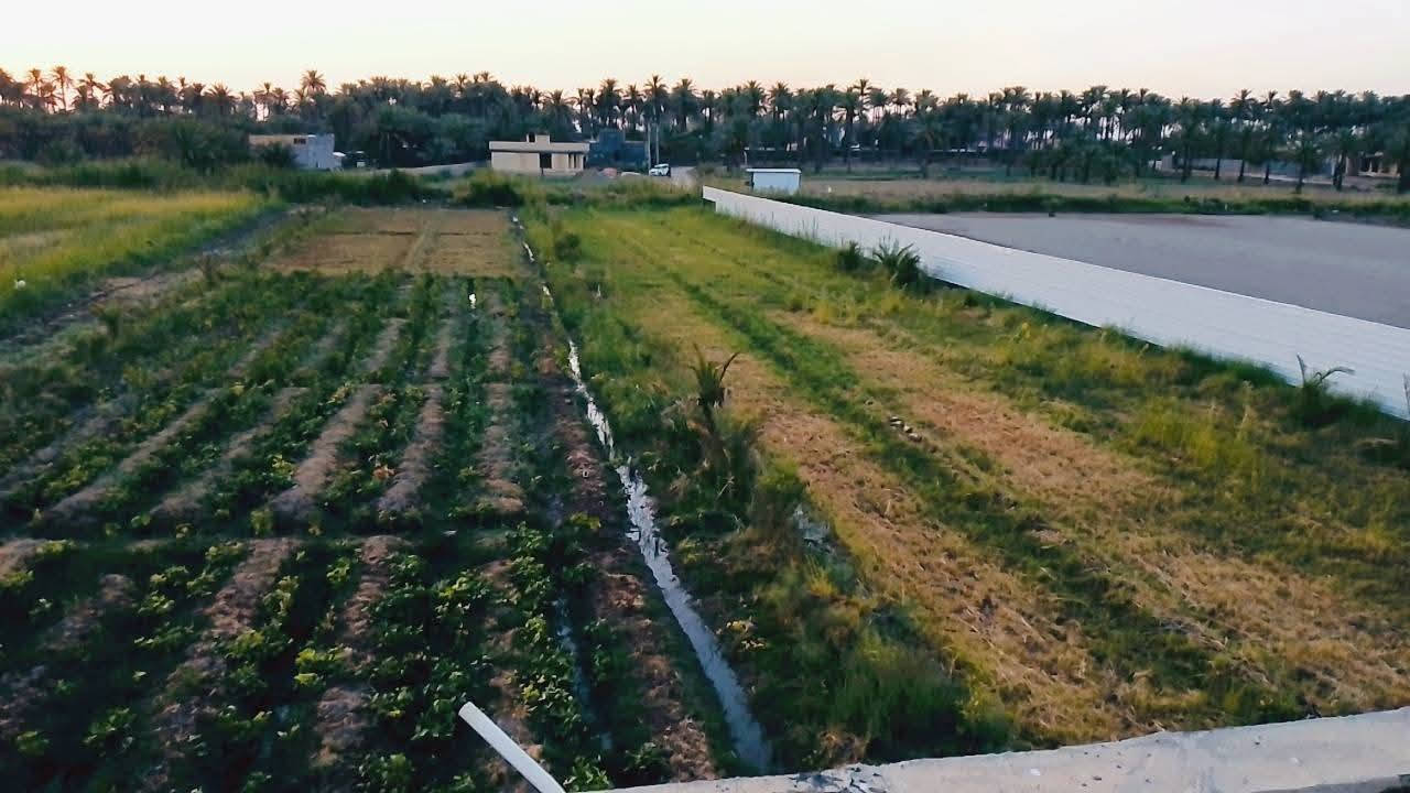 🏠 /دونم ونص للبيع  طابو زراعي  سند25 بأسمي يحتوي على  منزل  /الارض  مسيجه بيارسي ومي سيح من شط الحله نهر خاص بيهن

مزروعات 125 نخله ملون

#تبليط_كهرباء_مجاري وعرض شارع 7امتار 

 

البيت ا الوجهه 16 م / نزال33م بناء حديث طابوك السقف صب كونكريت  مساحه البناء 300 + حديقه300 يساوي المنزل مع الحديقه 600

 البيت  بناء حديث طابوك السكف صب  / مدخل 2م في2م

 مطبخ  حار وبارد /  البارد 5م في 4 

 الحار 3م في 4 م

   ثلاث غرف نوم  5 م في 4 م.

صاله 11م في  4ونص م

  أستقبال  12م في 5م  .

 مجمع صحيات/

 المنزل  ساكن  بيه فقط نقص بياض وسراميك 

كهرباء مجاري كولشي متواجد بلبيت

مقابيل  مدخل الحله البوابه الرئيسيه مقابيل معمل الجمهوري طاقة الكهرباء شارع  الريسي حله بغداد

الاستفسار ***********/  تحياتي للجميع 

#تبليط_كهرباء_مجاري وعرض شارع 7
