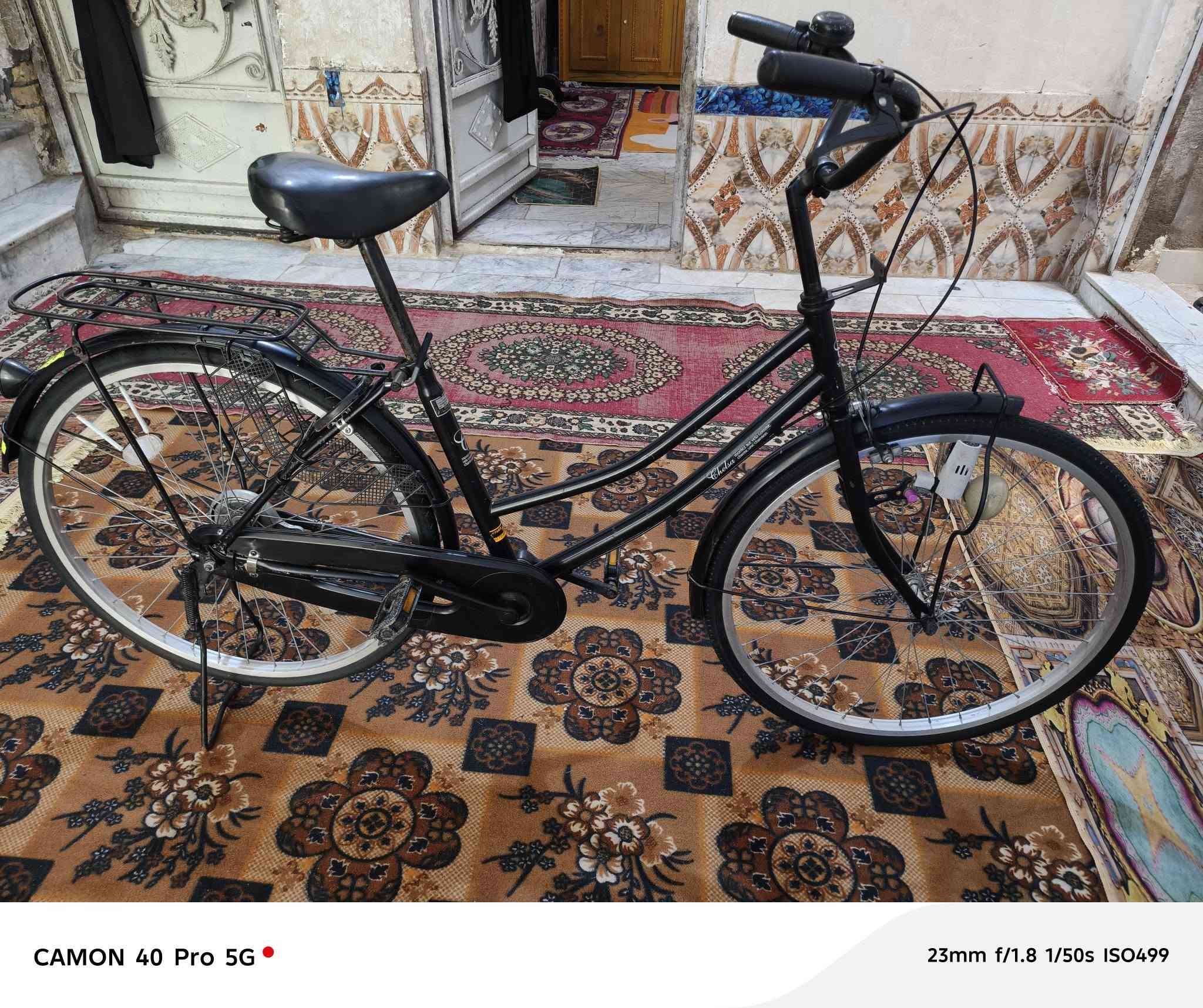 السلام عليكم بايسكل للبيع حجم 26 مكان ناصريه مركز السعر خاص مستعجل


**إذا كنت صاحب هذا الإعلان وتريد حذفه لأي سبب، رجاءا أرسل رسالة إلى الدعم الفني**