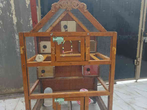 السلام عليكم 
متاح قفص لببيع  كامل 5 بيوت اومنهل ماء منهل اكل مرجوحه شغل توصى سيم خشب  جرار اسفل القفص للتنظيف عرض متر  ارتفاع متر ونص  سعر ١٠٠ وبي مجال بعقوبه ***********
