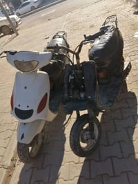 بيجي • دولفين • رميثه