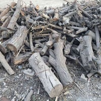 خشب • عزيز بلد