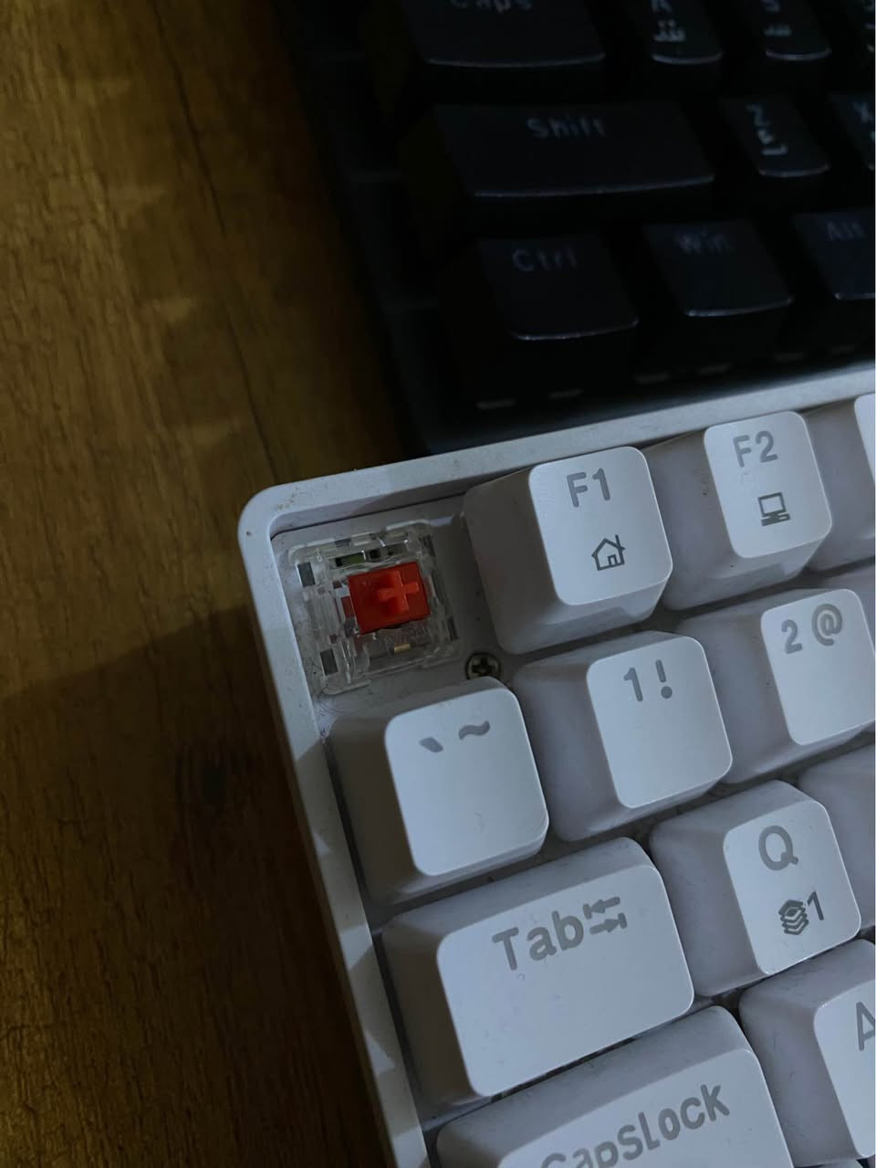 كيبورد DIERYA انكليزي ابيض وايت ليد ريد سويج ب 30 الف

كيبورد jertech عربي انكليزي ماستر اسود RGB ريد سويج ب 20 الف

كيبورد MAGEGEE انكليزي فول ار جي بي ربر سويج ب 10 الف

الاسعار قفل والكيبوردات كلهن ثقيل واصلي شرط الفحص 

متوفر توصيل بغداد, العراق


**إذا كنت صاحب هذا الإعلان وتريد حذفه لأي سبب، رجاءا أرسل رسالة إلى الدعم الفني**