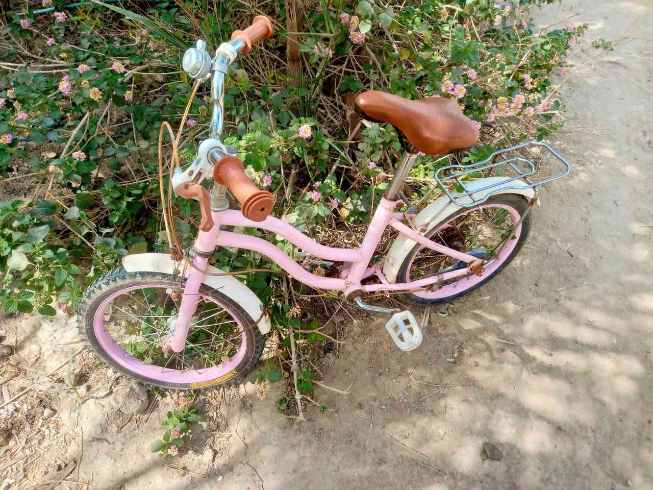 بايسكل للبيع كلش نظيف مابيه اي نقص ومن النوع الياباني  قياس ١٦   السعر ٤٠ وبيه مجال  للاستفسار الاتصال بالرقم  *********** المكان قضاء الشاميه
