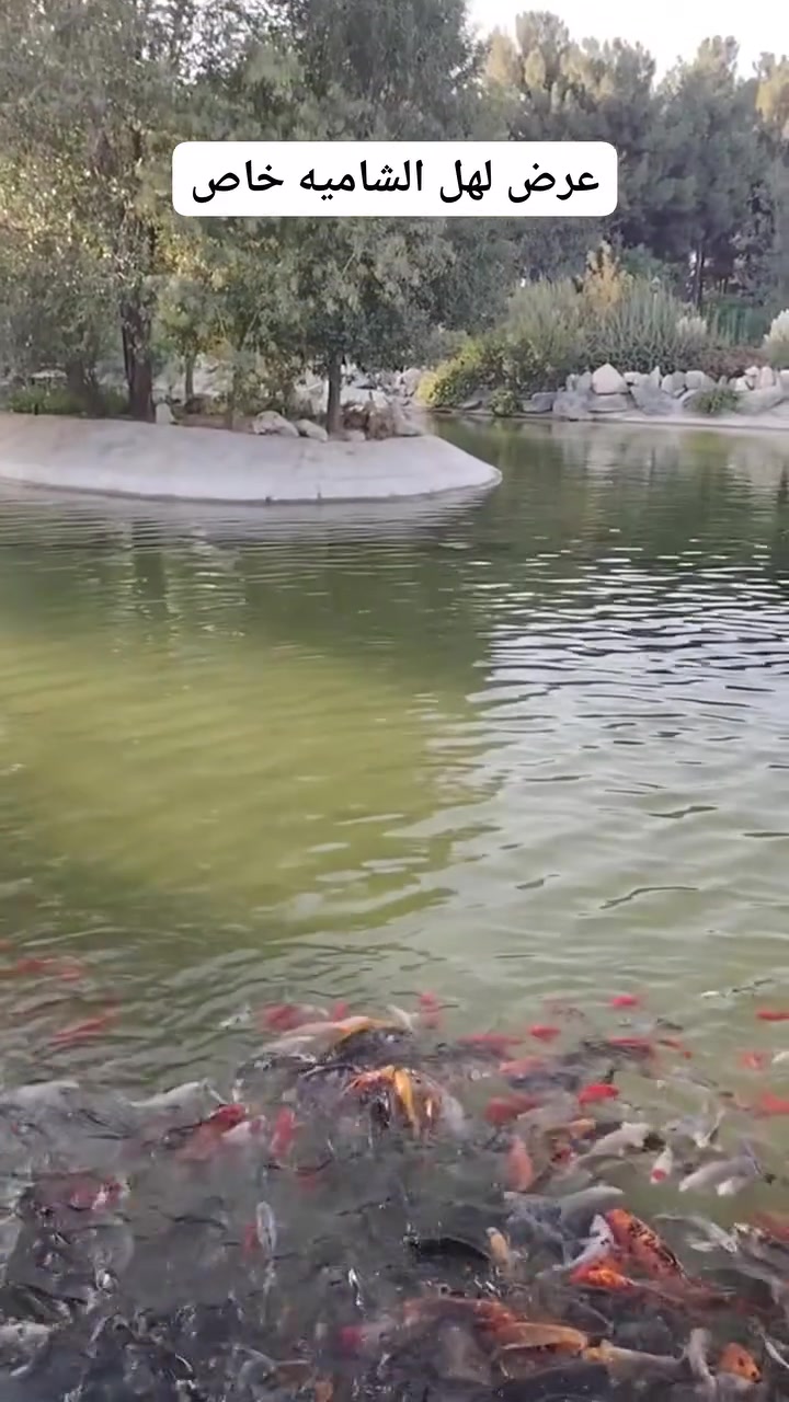عرض لهل شاميه والصلاحيه رحله الى ايران بري 
ب160الف معه نقل مزارات وسياحه


**إذا كنت صاحب هذا الإعلان وتريد حذفه لأي سبب، رجاءا أرسل رسالة إلى الدعم الفني**